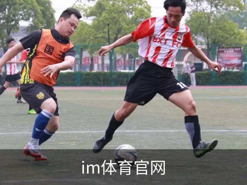 im体育官网简介